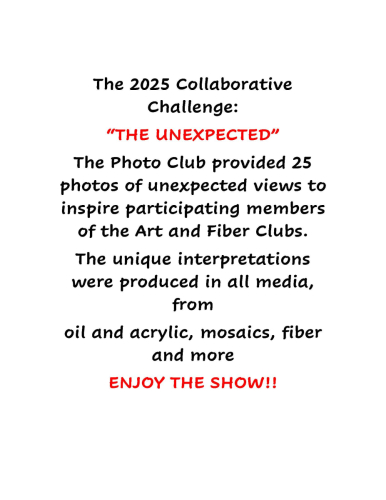 2025 Collaborative Intro 1