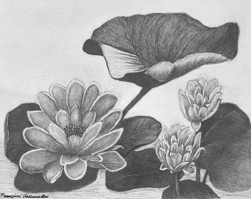 Francisca Vasconcellos