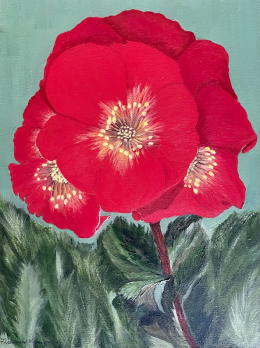 Francisca Vasconcellos