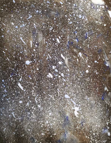 Veronica Tcherevkoff