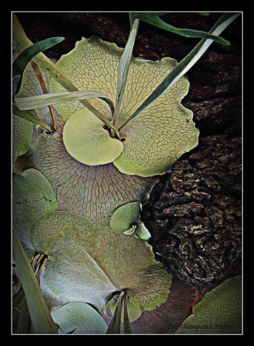 Lois Thompson Kastner